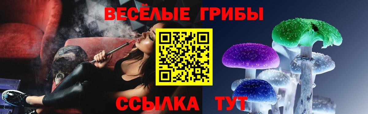 Псилоцибиновые грибы Magic Shrooms Хасавюрт