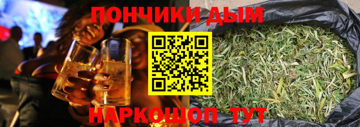 Канабис планчик Хасавюрт